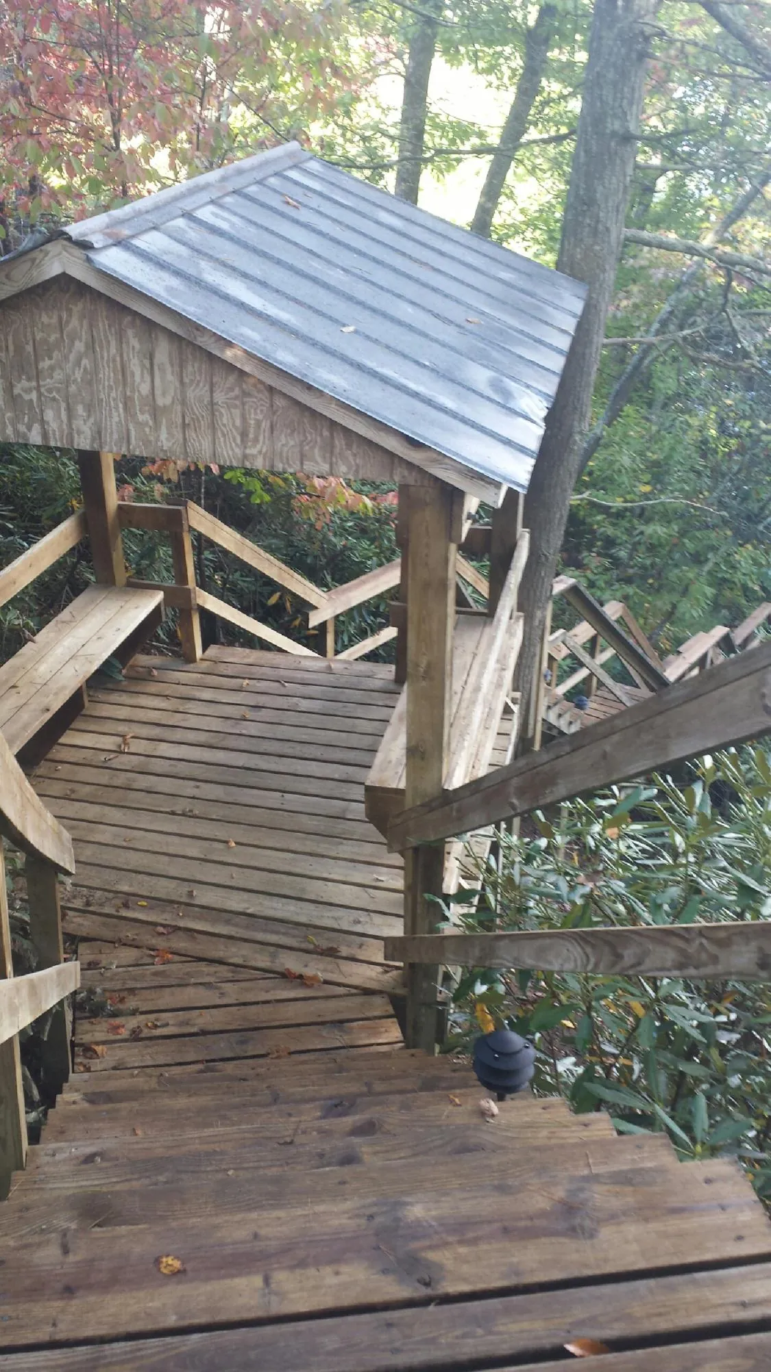 Metal roofed shelter over wooden steps on a wooded walkway — Skylight Repair & Installation work by our crew in Welches