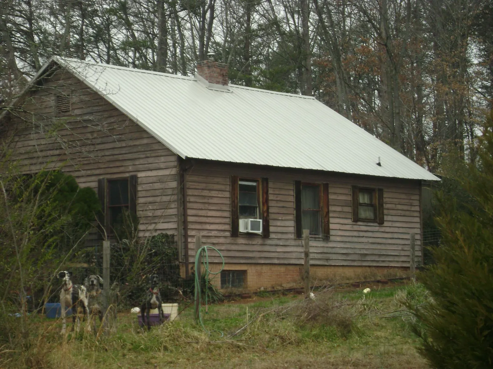 White metal roof on an old wood sided farmhouse, from a Metal Roof Installation job in Welches
